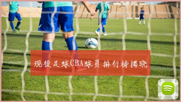 现役足球CBA球员排行榜揭晓