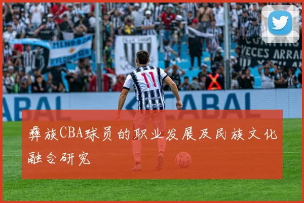 彝族CBA球员的职业发展及民族文化融合研究