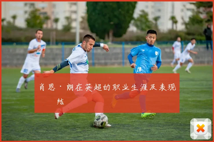 肖恩·朗在英超的职业生涯及表现总结