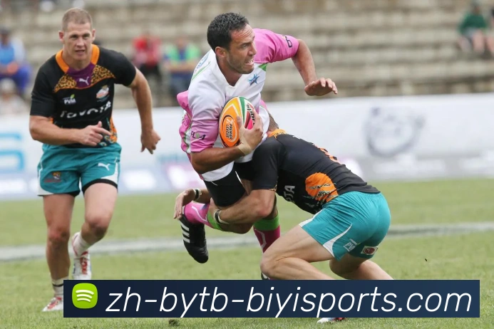 必一体育官方网站发展历程